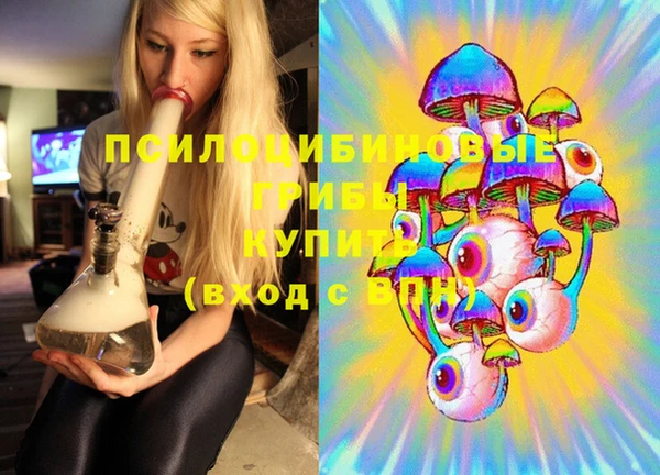 mdpv Бронницы