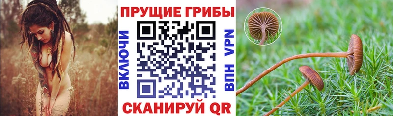Псилоцибиновые грибы мухоморы  Тамбов 